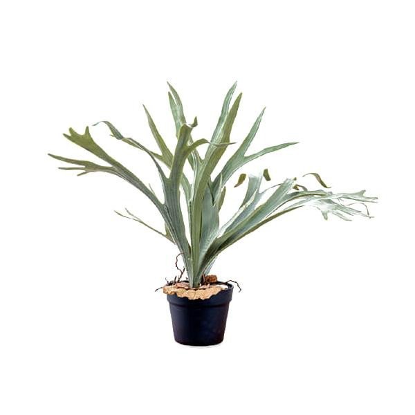 abt-8459 観葉植物 造花 インテリア フェイクグリーン おしゃれ 人工 プレゼント お祝い ギフト 日陰 高級 アンティーク 北欧 大きい 大型 室内 玄関 葉っぱ コウモリ蘭