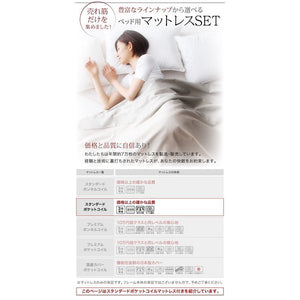 ベッド ダブル ローベッド 低い フロアベッド 棚 ラック 宮付き 枕元 携帯 スマホ メガネ リモコン コンセント 充電 おしゃれ モダン SポケットCマットレス付き