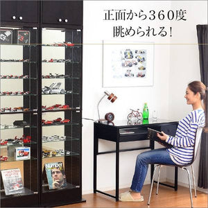 コレクションラック専用ミラー2枚セット ハイタイプ 用/深型 浅型共通 