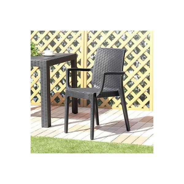 kag-15489 チェア 椅子 2脚セット 屋外 カフェ系 テラス ガーデン 庭 ベランダ バルコニー 肘置き ( 家具 いす )