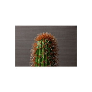 観葉植物 フェイクグリーン 造花 大型 人工観葉植物 インテリア グリーン フェイク おしゃれ 室内 鉢 植木鉢 木 お祝い