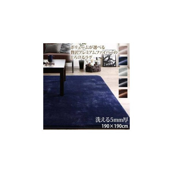 kag-33368 ラグ カーペット こたつ敷き 絨毯 厚手 マット 極厚 防音 ふかふか 正方形 190×190 3畳 ( 洗える 5mm 低反発 ウレタン 入 ) 北欧 モダン デザイン かわいい