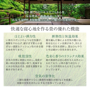 セミダブルベッド 一人 フレーム 跳ね上げ式 ガス圧 ベッド下 収納付き 大容量 畳 硬め 布団対応 布団用 腰痛対策 通気性 カビ 湿気 和室 ヘッドレス アジアン