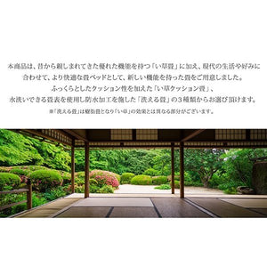 セミダブルベッド 一人 フレーム 日本製 国産 畳 硬め 腰痛 通気性 カビ 湿気 和室 ベッド下 収納 高い 床下収納スペース 全面収納 ヘッドレス 布団可 布団収納