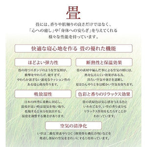 セミダブルベッド 一人 フレーム 日本製 国産 畳 硬め 腰痛 通気性 カビ 湿気 和室 ベッド下 収納 高い 床下収納スペース 全面収納 ヘッドレス 布団可 布団収納