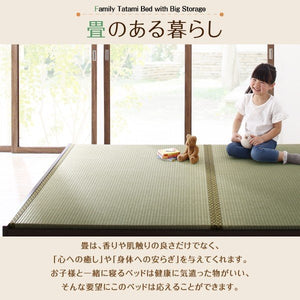 セミダブルベッド 一人 フレーム 日本製 国産 畳 硬め 腰痛 通気性 カビ 和室 連結可 つなげる ベッド下 高い 床下収納 全面収納 ヘッドレス 布団可 布団収納