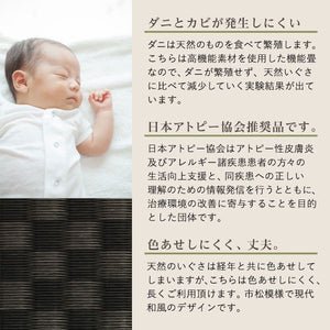 セミダブルベッド 一人 フレーム 畳 硬め 腰痛 通気性 カビ ベッド下 収納 高い 床下 全面 高さ調節 ロー 低い 棚 携帯 照明 ライト 携帯 スマホ コンセント