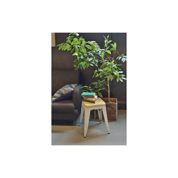 kag-55571 ダイニングチェア 椅子 おしゃれ 北欧 レトロ 軽量 安い モダン カフェ PC テレワーク 在宅 アイアン アンティーク 学習 チェア 玄関 ホワイト 白 約 幅40 奥行3