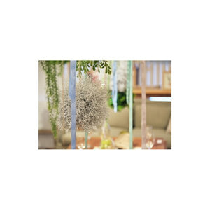 観葉植物 フェイクグリーン 造花 人工 植物 アートフラワー インテリア インテリアグリーン フェイク おしゃれ 室内 お祝い 約 直径 約25