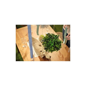 観葉植物 フェイクグリーン 造花 人工 植物 アートフラワー インテリア インテリアグリーン フェイク おしゃれ 室内 お祝い 約 直径 約25